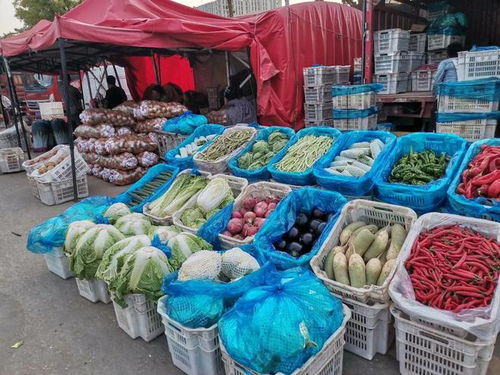 生活記 探訪太原河西農(nóng)副產(chǎn)品批發(fā)市場(chǎng)——滿載而歸的零食尋味之旅